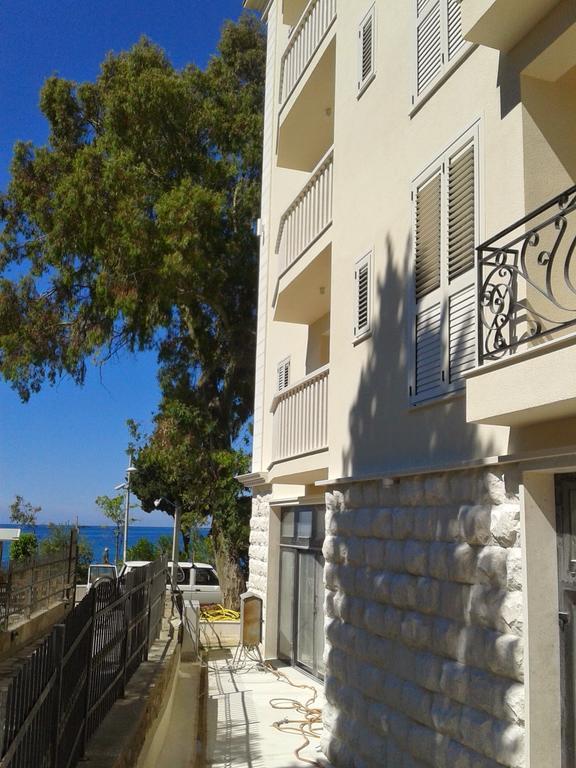Apartments Dangubic Petrovac المظهر الخارجي الصورة